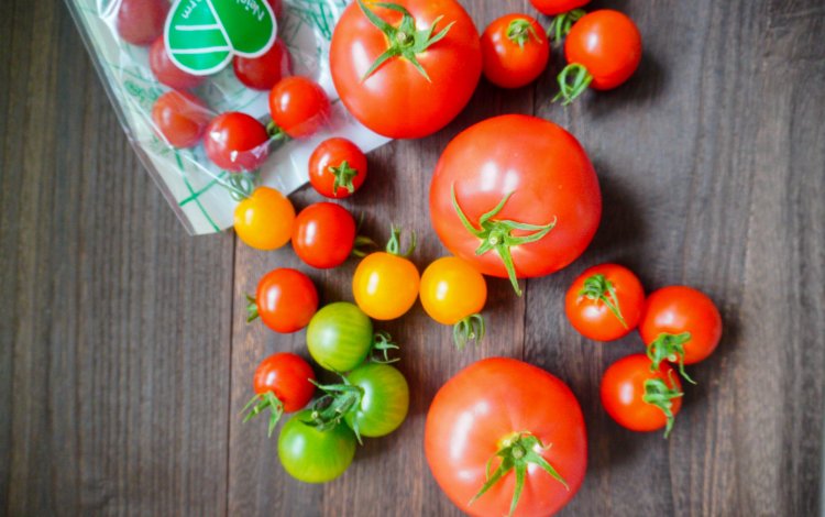 『切って楽しむ東京野菜』