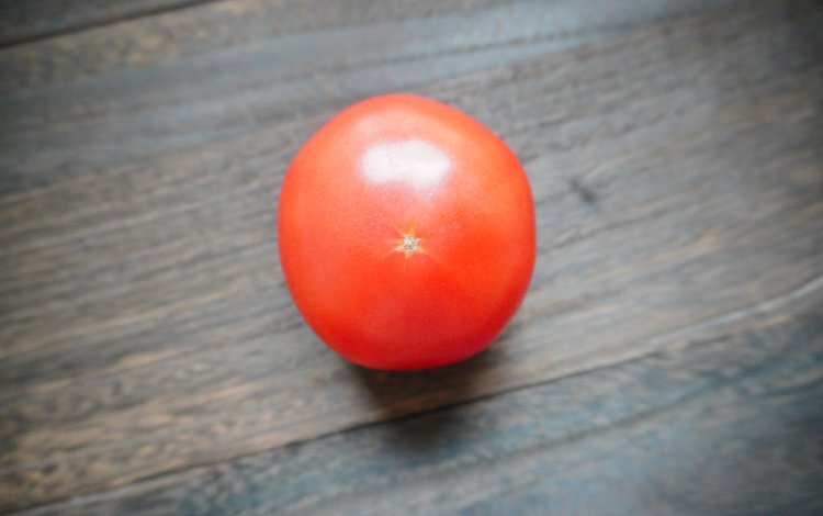 トマトを切って、見て、味わってみよう！