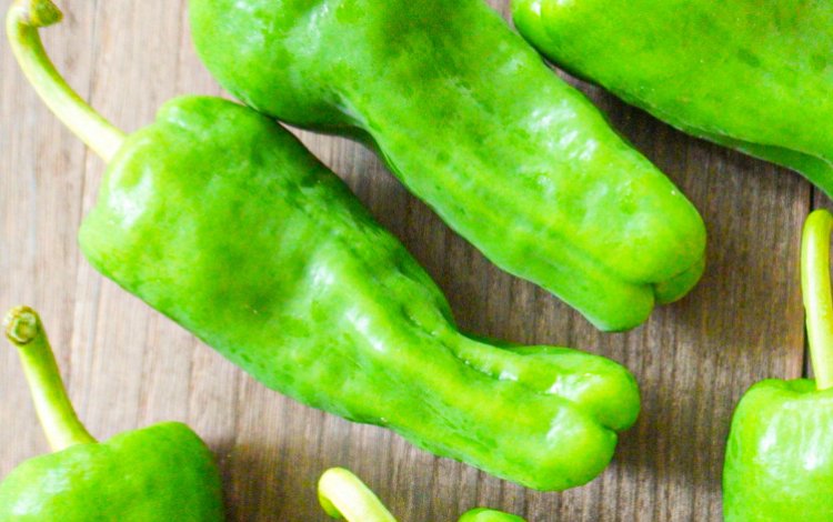 ピーマンを切って、見て、味わってみよう！