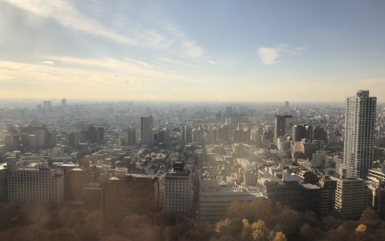 “東京の魅力を向上”させるために、農業者ができること