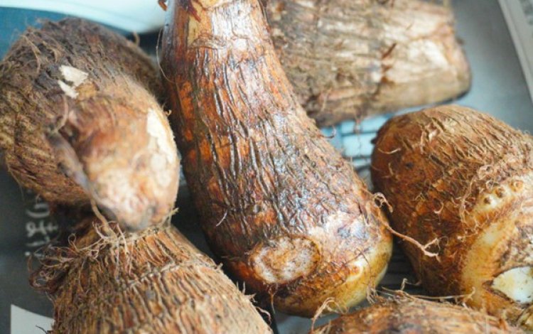 『切って楽しむ東京野菜』