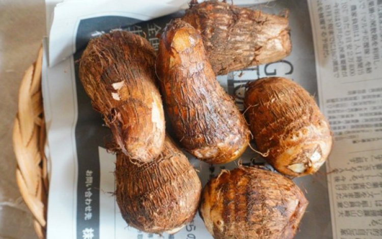 土の香りを嗅いでみよう！