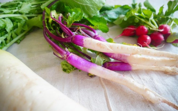 『切って楽しむ東京野菜』