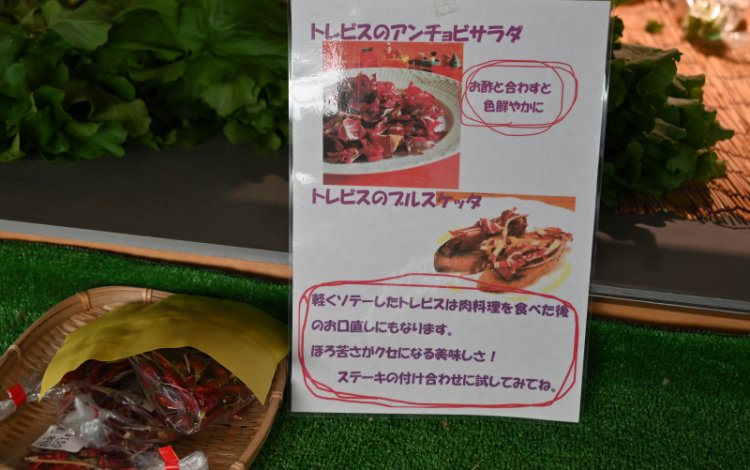 人との信頼関係を築く大切さ