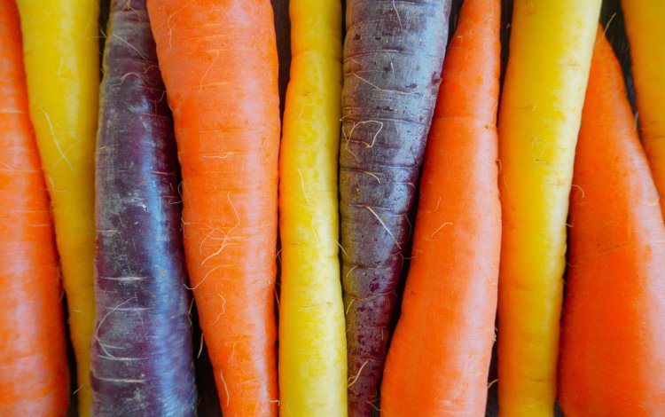 『切って楽しむ東京野菜』