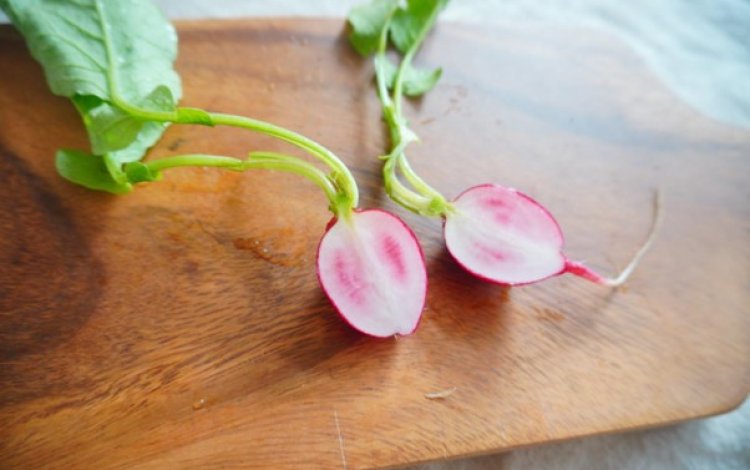 縦切りにして観察してみよう！