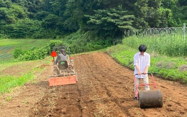 草を肥料として使う「緑肥」の活用