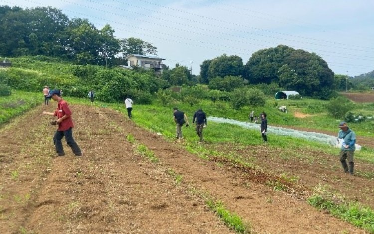 草を肥料として使う「緑肥」の活用