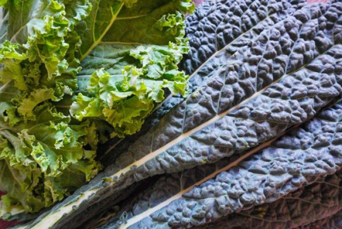 心身のバランスを整える色『みどり』