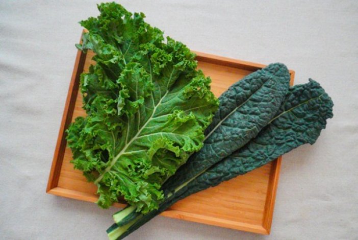 濃い緑野菜の代表格！ケール