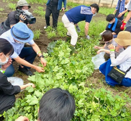 ８kgのホップを収穫。たっぷり汗をかいて、みんなで収穫体験。