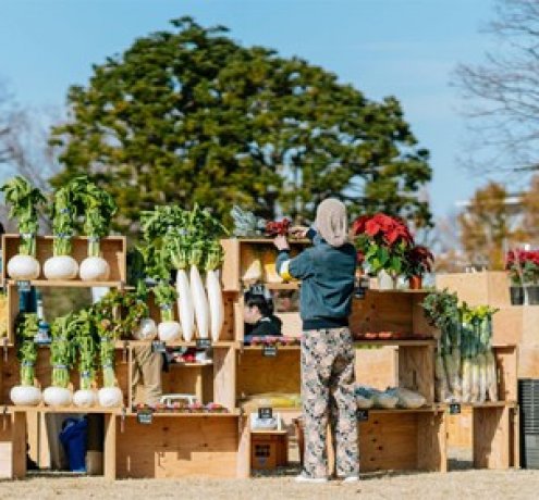 〈こくベジプロジェクトとは〉
