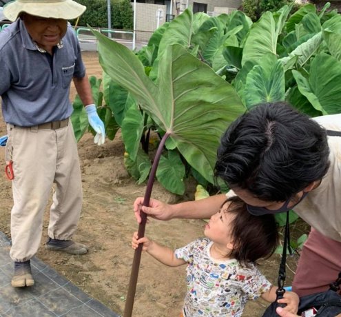 農体験で「持続可能」な、「まち」に。
