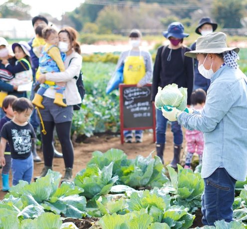 野菜のプロである農家さんから教わる