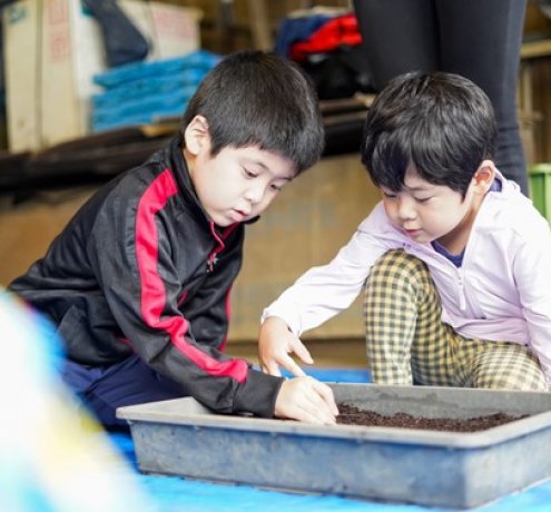 タネ？苗？ 野菜によって異なる最初の姿