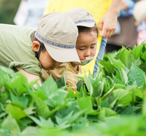 お世話をするからわかる、収穫の喜び