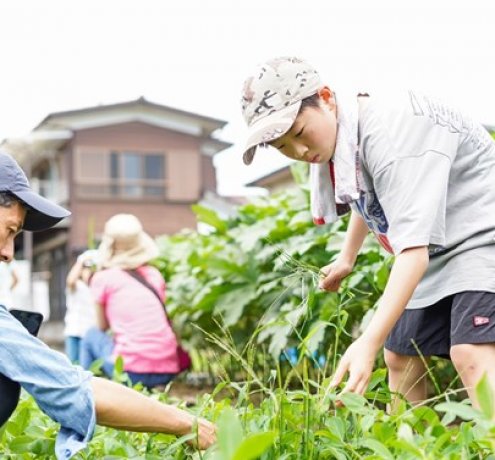 お世話をするからわかる、収穫の喜び