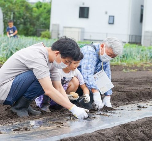 タネ？苗？ 野菜によって異なる最初の姿