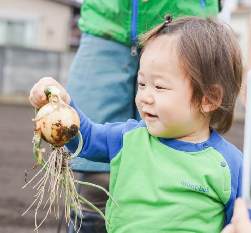 同じ畑に「通う」ことで、野菜から季節の移ろいを感じる