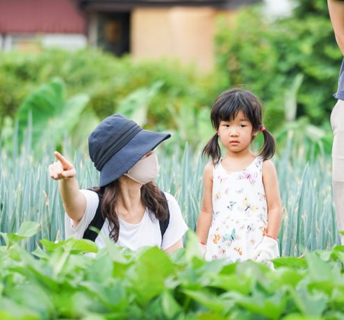 同じ畑に「通う」ことで、野菜から季節の移ろいを感じる