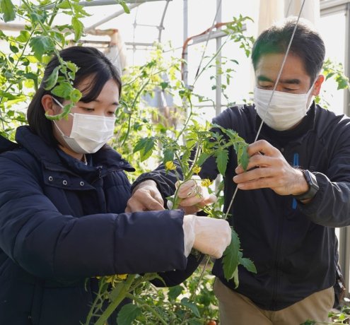 畑に触れると、毎日の食卓がちょっと楽しくなる