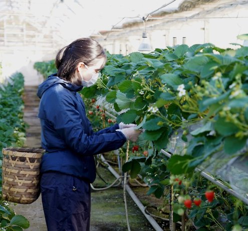 畑に触れると、毎日の食卓がちょっと楽しくなる