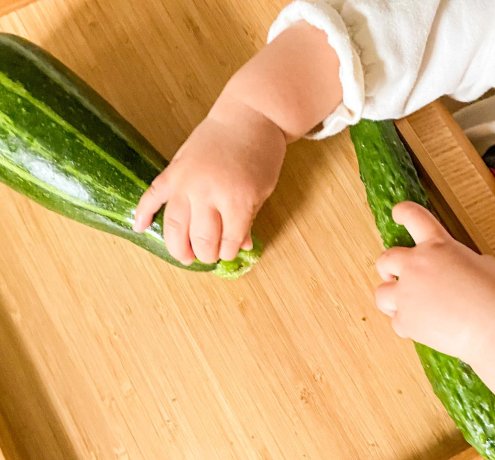 キュウリとズッキーニを比べて、触って、観察してみよう！