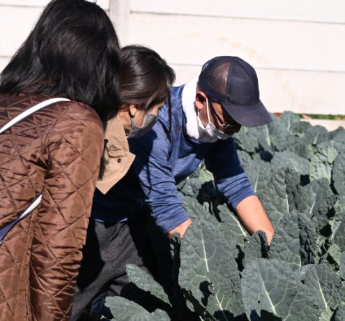 地域交流のための直売所