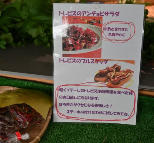 人との信頼関係を築く大切さ