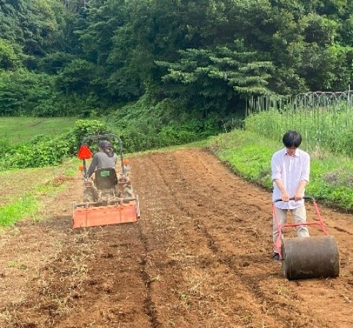 草を肥料として使う「緑肥」の活用