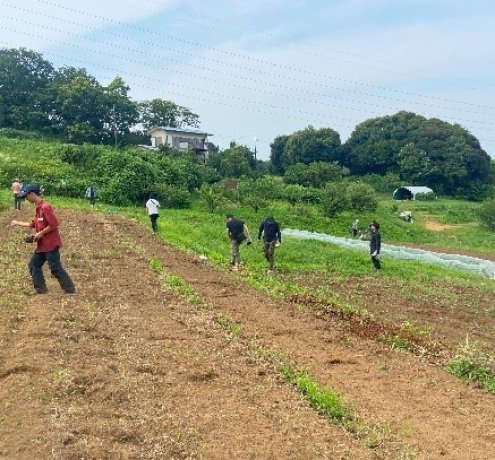 草を肥料として使う「緑肥」の活用