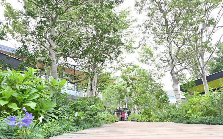 多摩産材×立川