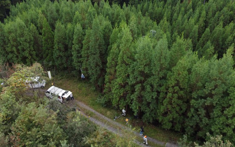 花粉の少ない森づくり運動