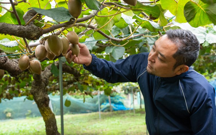 地元に根付く「果実の相田園」