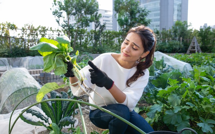 ちょっとの油断が命取り⁉　LOVERSの畑にピンチが訪れた！