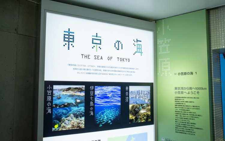 伊豆七島と東京湾の風景の違いが面白い