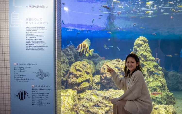 伊豆七島と東京湾の風景の違いが面白い