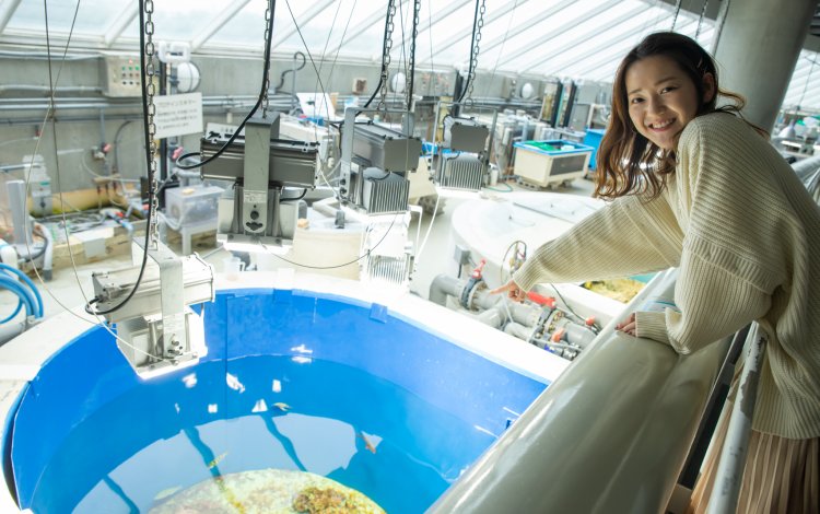 東京湾の海を多角的に見学！