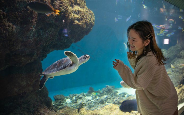 TOKYO LOVERSから一言