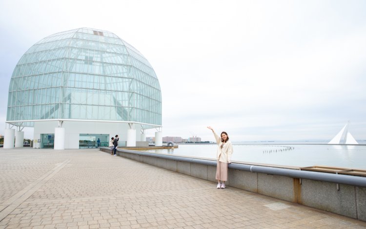 マグロ大水槽など見どころいっぱい！