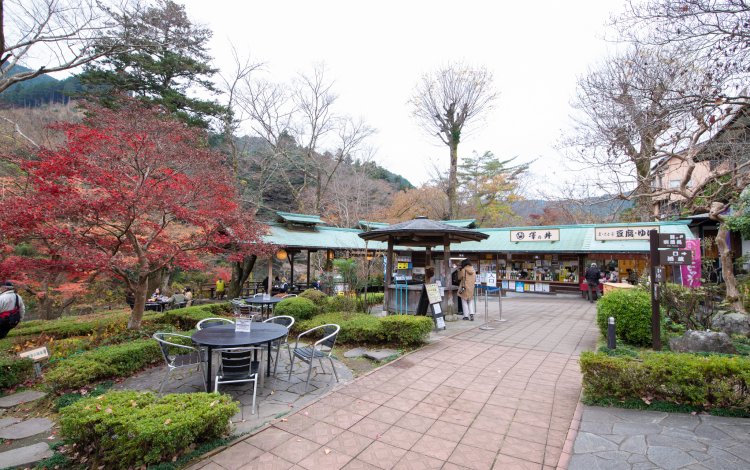 東京で生まれる名酒「澤乃井」