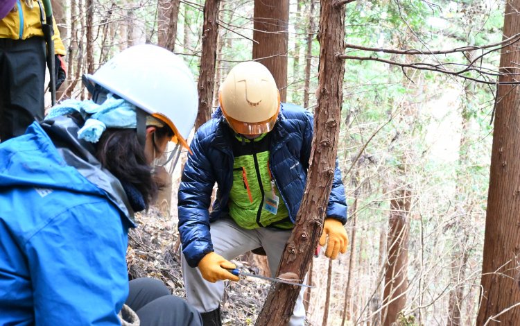 森を守り、登山道を守る活動「杣’s」