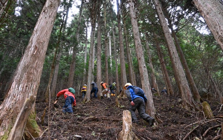 森を守り、登山道を守る活動「杣’s」