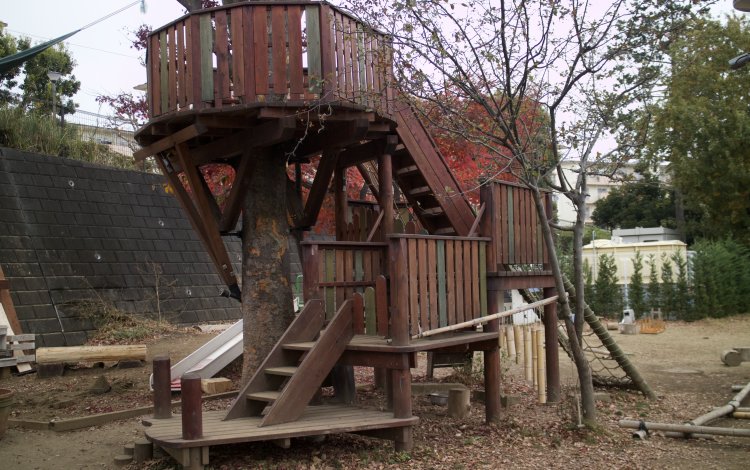 奥多摩木育大学　森のフィールドワークに参加！