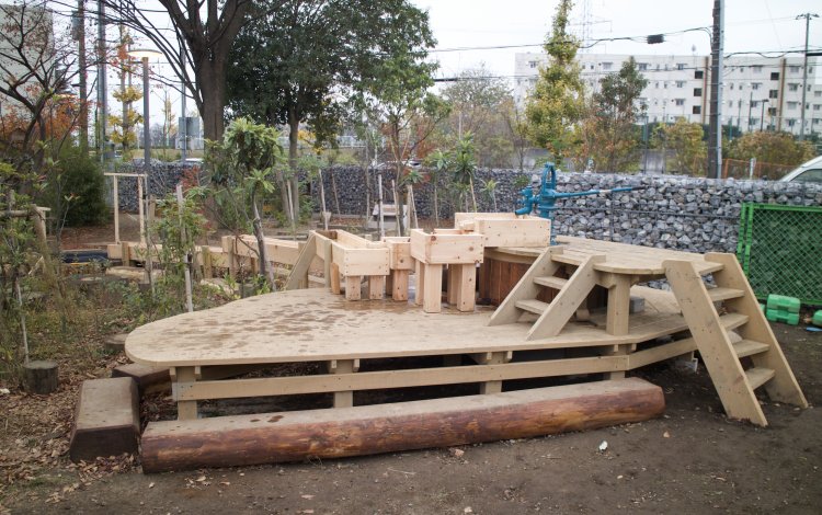 奥多摩木育大学　森のフィールドワークに参加！