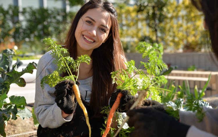 苦労して育てた野菜をいよいよ収穫♫