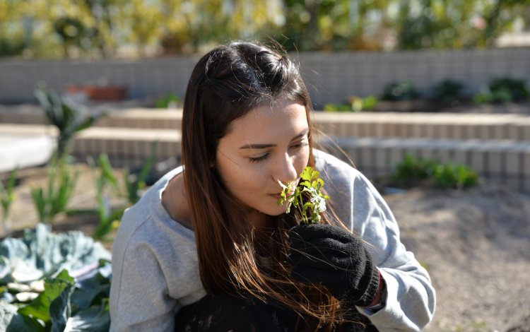 TOKYO LOVERSから一言