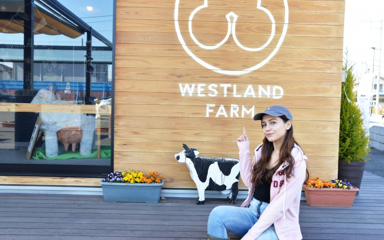 TOKYO LOVERSから一言