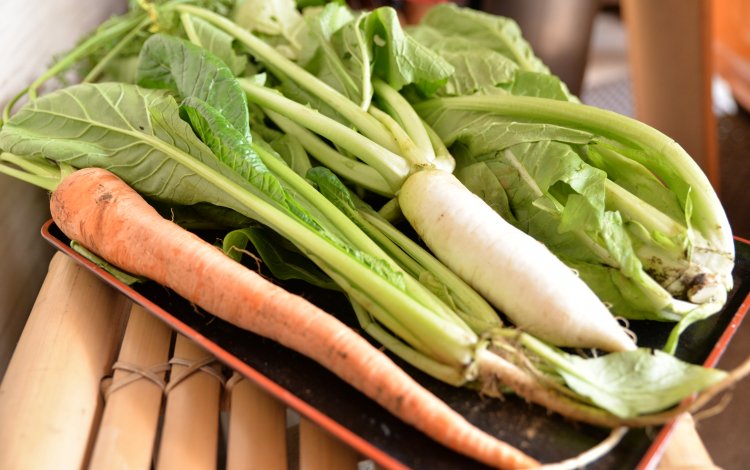 江戸東京野菜をもっとしろう