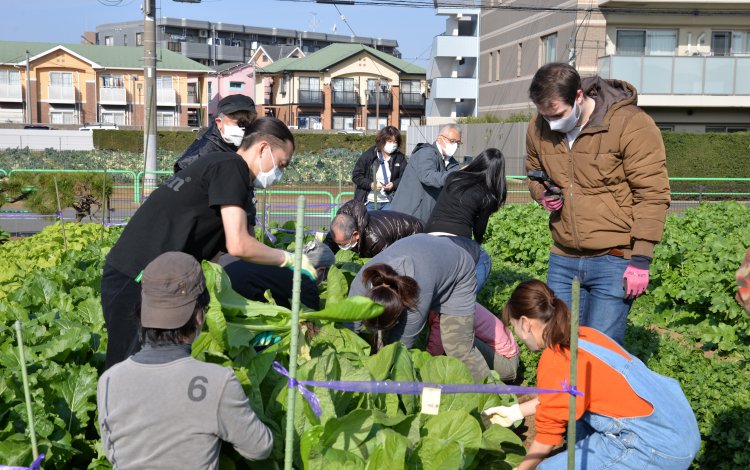 江戸東京野菜をもっとしろう